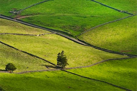 Farm fields in the Terceira island in Azores Stock Photo - Budget Royalty-Free & Subscription, Code: 400-05169666