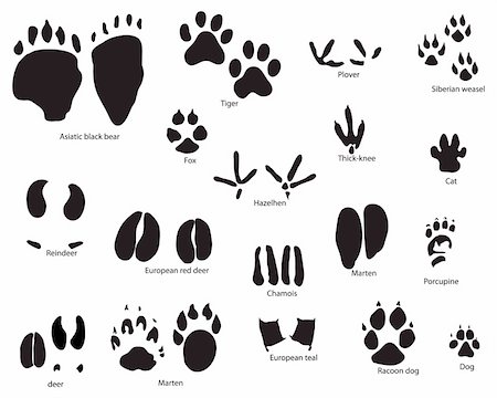 dog and cat cartoon outline - Biggest collection of animal and bird trails with title Stock Photo - Budget Royalty-Free & Subscription, Code: 400-05160429