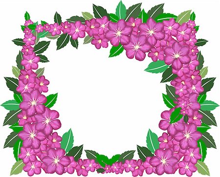 illustration of a flower frame on white background Stockbilder - Microstock & Abonnement, Bildnummer: 400-05160879