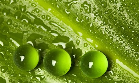 simsearch:400-04885204,k - Water drops on green leaf and marbles - nature background Photographie de stock - Aubaine LD & Abonnement, Code: 400-05161035