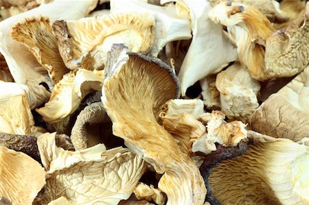 simsearch:400-04689356,k - Dried asia mushrooms in Detail. Shot in studio. Stock Photo - Budget Royalty-Free & Subscription, Code: 400-05161212