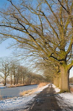 Lovely winter scenic on a cold day Fotografie stock - Microstock e Abbonamento, Codice: 400-05161224