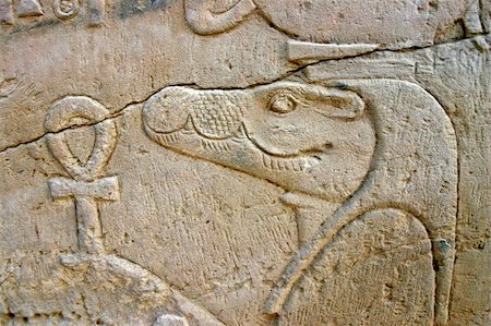 photoblueice (artist) - Wall of relief of the Crocodile God Sobek in Egypt Stock Photo - Budget Royalty-Free & Subscription, Code: 400-05162410