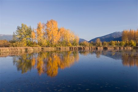 photoblueice (artist) - lake, mountains, Landscape, reflection, fall, autumn, ducks, birds, quiet. Peaceful, tranquil Stock Photo - Budget Royalty-Free & Subscription, Code: 400-05162454