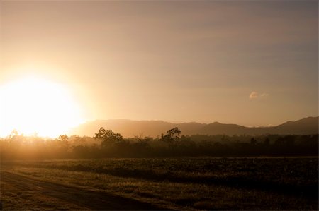 surpasspro (artist) - Morning Sunrise in Australia with Trees and Mountains Foto de stock - Super Valor sin royalties y Suscripción, Código: 400-05162976