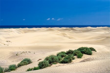simsearch:400-04976014,k - Sand dunes with ocean in the background Stock Photo - Budget Royalty-Free & Subscription, Code: 400-05163696