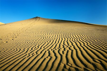 simsearch:400-04976014,k - Sand dunes with footprints Stock Photo - Budget Royalty-Free & Subscription, Code: 400-05163698