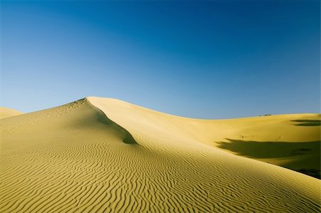 simsearch:400-04976014,k - Sand dunes on the sunset Stock Photo - Budget Royalty-Free & Subscription, Code: 400-05163699