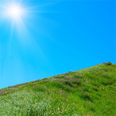 Green grass, blue sky and sun Stock Photo - Budget Royalty-Free & Subscription, Code: 400-05163803