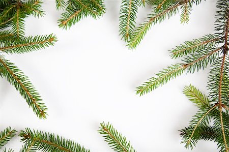 round ornament hanging of a tree - Spruce & Christmas Stock Photo - Budget Royalty-Free & Subscription, Code: 400-05163814