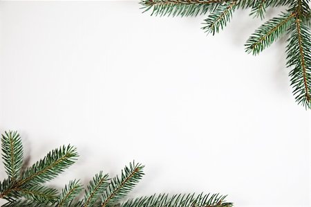 round ornament hanging of a tree - Spruce & Christmas Stock Photo - Budget Royalty-Free & Subscription, Code: 400-05163837