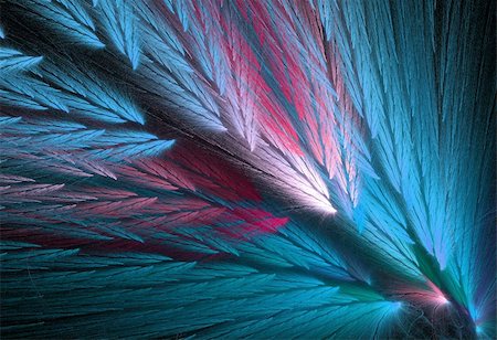 Pink and blue, or teal or aqua colored feather fractal shaped similar to parrot wings. Photographie de stock - Aubaine LD & Abonnement, Code: 400-05174089