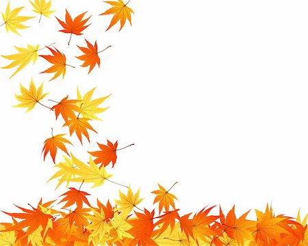 fall floral backgrounds - Twisted row of autumn  maples leaves. Vector illustration. Stock Photo - Budget Royalty-Free & Subscription, Code: 400-05175441