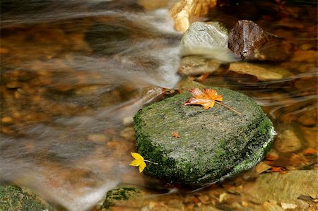 Mountain stream Stock Photo - Budget Royalty-Free & Subscription, Code: 400-05175982