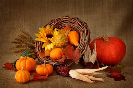 Cornucopia with pumpkins on brown background Stockbilder - Microstock & Abonnement, Bildnummer: 400-05176032