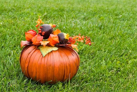 Orange decorative pumpkin with leaves, flowers and berries on green grasss Stockbilder - Microstock & Abonnement, Bildnummer: 400-05178188