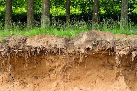 dig up - section of land with grass, nature background Photographie de stock - Aubaine LD & Abonnement, Code: 400-05178232