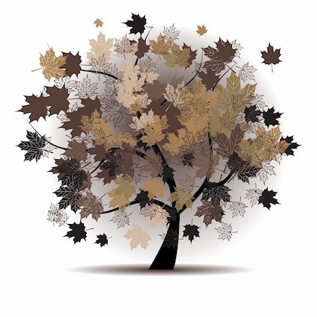 Maple tree, autumn leaf fall Stock Photo - Budget Royalty-Free & Subscription, Code: 400-05178827