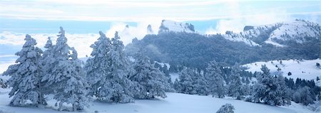 Winter landscape of pines covered with snow in the Crimea mountains Foto de stock - Royalty-Free Super Valor e Assinatura, Número: 400-05179089