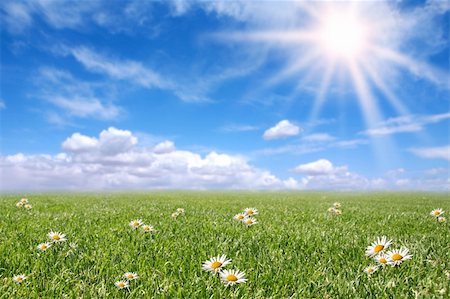 Serene Meadow in Spring With Happy Bright  Sunshine Fotografie stock - Microstock e Abbonamento, Codice: 400-05179404