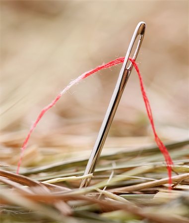 Needle with a red thread in a haystack Stock Photo - Budget Royalty-Free & Subscription, Code: 400-05179816