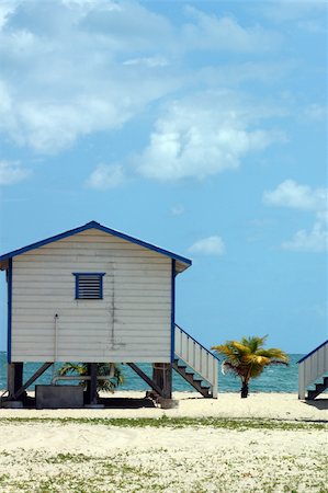 Cabana - Belize Stock Photo - Budget Royalty-Free & Subscription, Code: 400-05179860