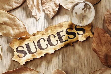 simsearch:400-04138611,k - Global success concept made from word success printed on burnt paper and a glass globe with dry leaves scattered around, and using hard lighting Stock Photo - Budget Royalty-Free & Subscription, Code: 400-05170336