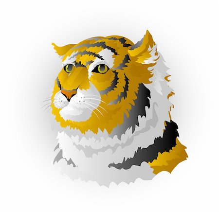 simsearch:400-05184314,k - Head of a tiger. Isolated. EPS 8, AI, JPEG Stockbilder - Microstock & Abonnement, Bildnummer: 400-05184179
