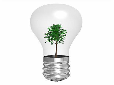 Tree in a lamp on white background Stock Photo - Budget Royalty-Free & Subscription, Code: 400-05184814