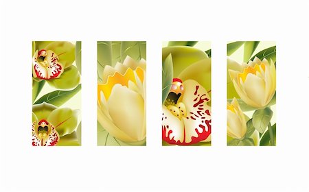 Four panel scene of 3D orchids and yellow tulips. Stock Photo - Budget Royalty-Free & Subscription, Code: 400-05184966