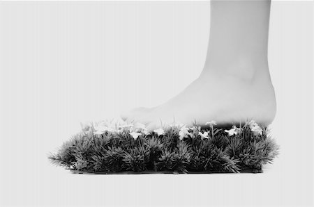 foot daisy - woman legs walking on small peace of green grass isolated on white representing last oasis concept Stock Photo - Budget Royalty-Free & Subscription, Code: 400-05185180