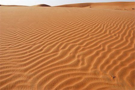 photos of sand dunes in rajasthan - Waste land Stock Photo - Budget Royalty-Free & Subscription, Code: 400-05185850