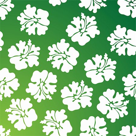 A repeating wallpaper pattern - green hibiscus. Foto de stock - Super Valor sin royalties y Suscripción, Código: 400-05186631