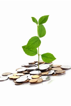 Coins and plant isolated on white background Stock Photo - Budget Royalty-Free & Subscription, Code: 400-05187180
