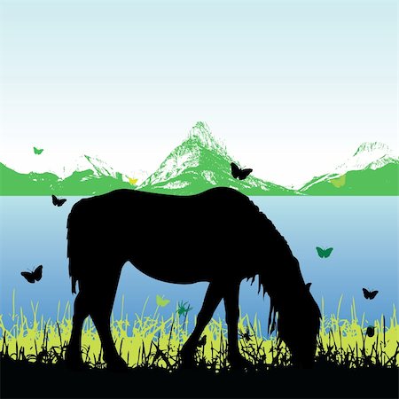 simsearch:400-05321504,k - silhouette of walking horse, vector illustration Fotografie stock - Microstock e Abbonamento, Codice: 400-05187994