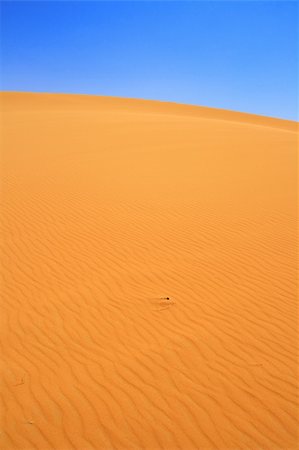 simsearch:400-06100677,k - sand dunes, focus set in foreground Photographie de stock - Aubaine LD & Abonnement, Code: 400-05188125