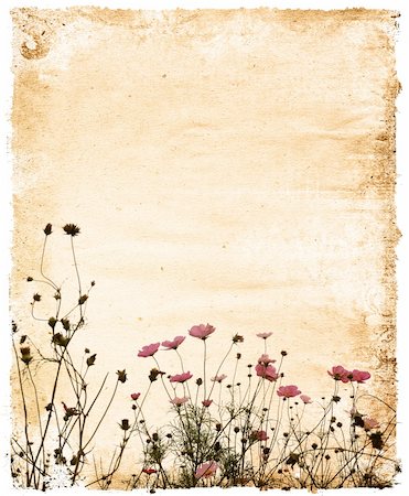 decaying antique books - old flower and worn paper texture background Stock Photo - Budget Royalty-Free & Subscription, Code: 400-05188266