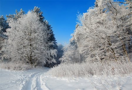 simsearch:400-05063238,k - winter landscape, path in the snow leading to a forest Stock Photo - Budget Royalty-Free & Subscription, Code: 400-05194154
