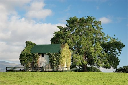 sun over farm field - Country house on beautiful warm day. Photographie de stock - Aubaine LD & Abonnement, Code: 400-05195221