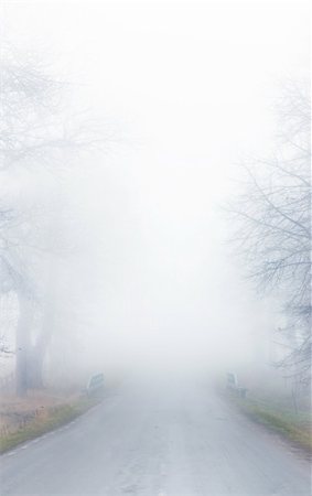 snowy road tree line - Street in thick fog Stock Photo - Budget Royalty-Free & Subscription, Code: 400-05195833