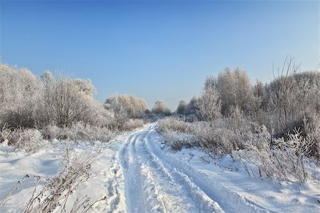 simsearch:400-05063238,k - winter road,  trees and bushes covered by hoarfrost in background Stock Photo - Budget Royalty-Free & Subscription, Code: 400-05196691