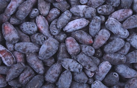 shopping in health store vitamins - exotic blueberries texture as very nice food background Photographie de stock - Aubaine LD & Abonnement, Code: 400-05197047