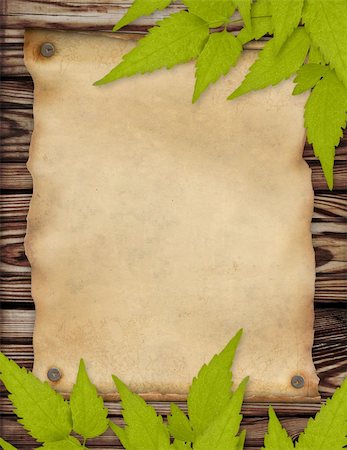 simsearch:400-04420614,k - Grunge background with paper sheet and green leaves Stock Photo - Budget Royalty-Free & Subscription, Code: 400-05197309