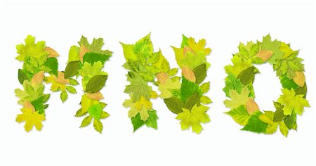 simsearch:400-04624185,k - Alphabet - letters with a green leaves. Set 5 Stock Photo - Budget Royalty-Free & Subscription, Code: 400-05197316
