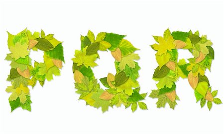 simsearch:400-08073944,k - Alphabet - letters with a green leaves. Set 6 Stock Photo - Budget Royalty-Free & Subscription, Code: 400-05197317