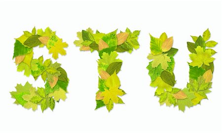simsearch:400-04624185,k - Alphabet - letters with a green leaves. Set 7 Stock Photo - Budget Royalty-Free & Subscription, Code: 400-05197318