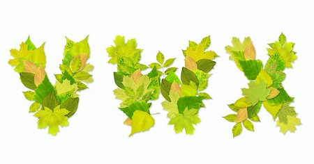 simsearch:400-04624185,k - Alphabet - letters with a green leaves. Set 8 Stock Photo - Budget Royalty-Free & Subscription, Code: 400-05197319