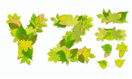 simsearch:400-04624185,k - Alphabet - letters with a green leaves. Set 9 Stock Photo - Budget Royalty-Free & Subscription, Code: 400-05197320