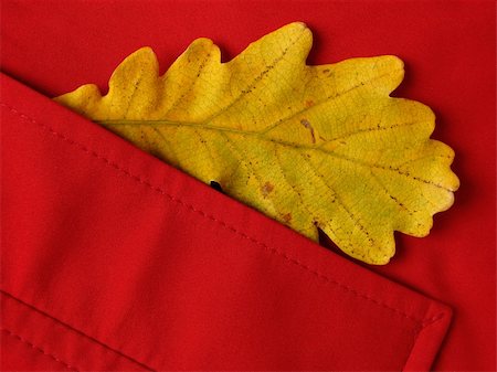 simsearch:400-05303269,k - red pocket with dry autumnal oak leaf Stock Photo - Budget Royalty-Free & Subscription, Code: 400-05190275