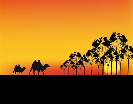 Nice sunset in Africa with red sky and silhouettes Stock Photo - Budget Royalty-Free & Subscription, Code: 400-05190365